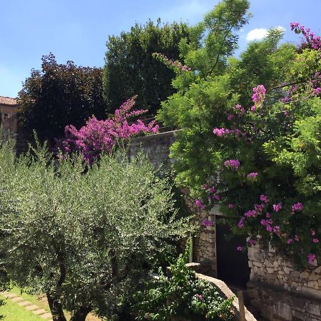 Le Finestre Sugli Ulivi Daire Desenzano del Garda Dış mekan fotoğraf