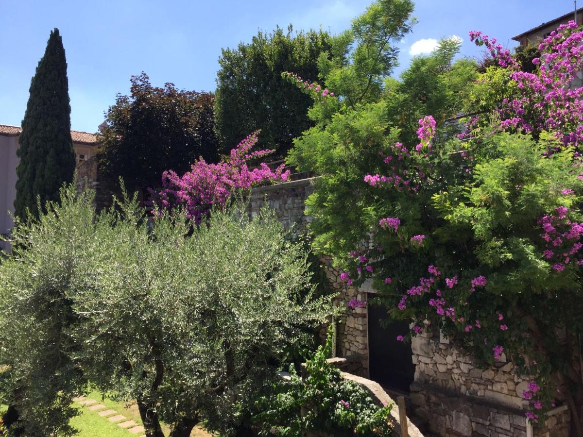 Le Finestre Sugli Ulivi Daire Desenzano del Garda Dış mekan fotoğraf